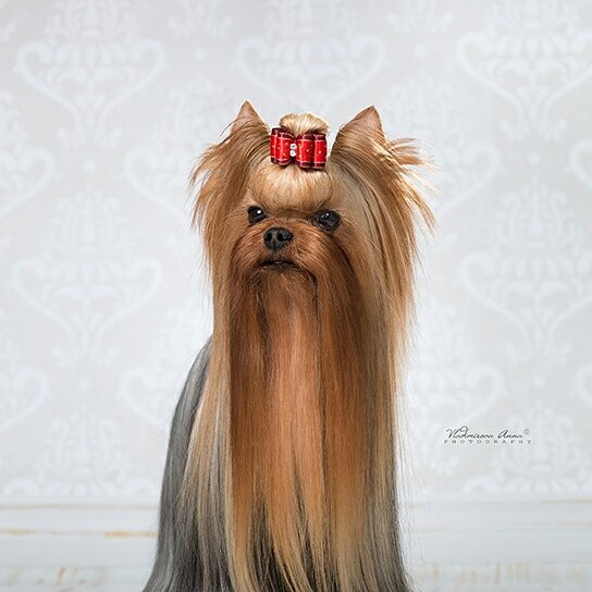 RUS MIRIAN STYLE MIDNIGHT BLUE